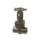 CS Forged Steel Gate Valve Screwed  Full Bore Class 800 (Wj-Neta)